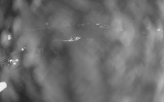 UFO ski w Bukowinie Tatrzańskiej - 18-12-2025 20:18