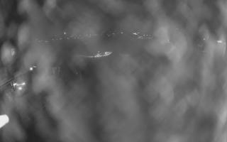 UFO ski w Bukowinie Tatrzańskiej - 18-12-2025 20:34