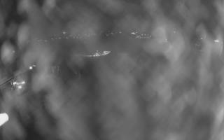 UFO ski w Bukowinie Tatrzańskiej - 18-12-2025 20:49