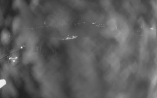 UFO ski w Bukowinie Tatrzańskiej - 18-12-2025 21:20