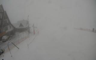 UFO ski w Bukowinie Tatrzańskiej - 29-01-2026 07:37