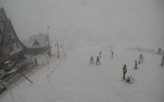 UFO ski w Bukowinie Tatrzańskiej - 29-01-2026 08:39