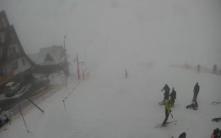 UFO ski w Bukowinie Tatrzańskiej - 29-01-2026 13:00