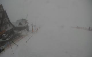 UFO ski w Bukowinie Tatrzańskiej - 29-01-2026 14:32