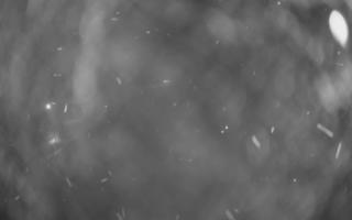 UFO ski w Bukowinie Tatrzańskiej - 21-03-2026 01:24