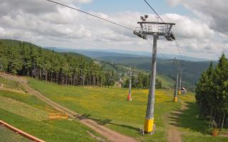 Zieleniec - Winterpol - 17-06-2025 08:47