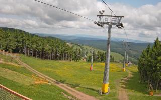 Zieleniec - Winterpol - 17-06-2025 08:54