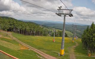 Zieleniec - Winterpol - 17-06-2025 09:29