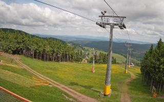 Zieleniec - Winterpol - 17-06-2025 09:43