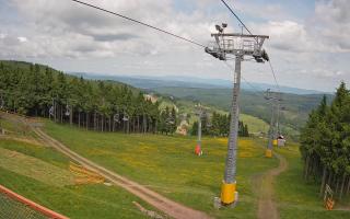 Zieleniec - Winterpol - 17-06-2025 11:00