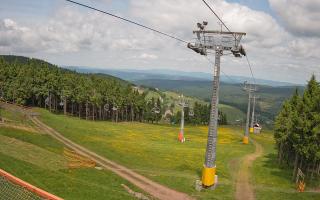 Zieleniec - Winterpol - 17-06-2025 11:14