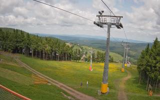 Zieleniec - Winterpol - 17-06-2025 11:28