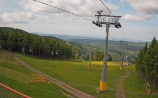 Zieleniec - Winterpol - 17-06-2025 15:00