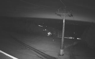 Zieleniec - Winterpol - 19-06-2025 00:32