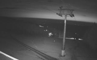 Zieleniec - Winterpol - 19-06-2025 00:46