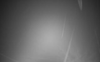 Zieleniec - Winterpol - 03-08-2025 01:13