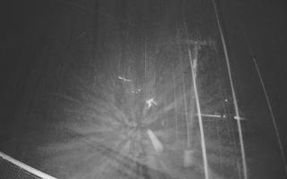 Zieleniec - Winterpol - 03-08-2025 01:48