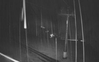 Zieleniec - Winterpol - 03-08-2025 01:55