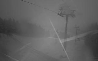 Zieleniec - Winterpol - 03-08-2025 02:58
