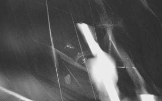 Zieleniec - Winterpol - 03-11-2025 00:21