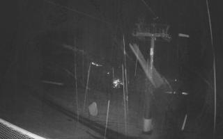 Zieleniec - Winterpol - 03-11-2025 00:28