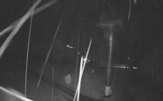 Zieleniec - Winterpol - 03-11-2025 00:42