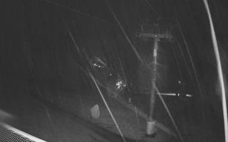 Zieleniec - Winterpol - 03-11-2025 01:03