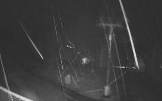 Zieleniec - Winterpol - 03-11-2025 01:10