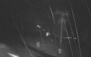 Zieleniec - Winterpol - 03-11-2025 01:24