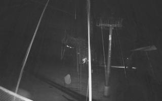 Zieleniec - Winterpol - 03-11-2025 01:31