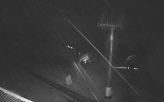 Zieleniec - Winterpol - 03-11-2025 01:38