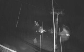 Zieleniec - Winterpol - 03-11-2025 01:59