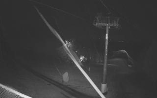 Zieleniec - Winterpol - 03-11-2025 02:13