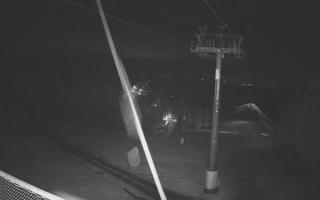 Zieleniec - Winterpol - 03-11-2025 02:27