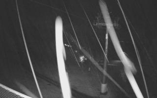 Zieleniec - Winterpol - 03-11-2025 02:41