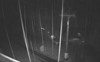 Zieleniec - Winterpol - 03-11-2025 02:48