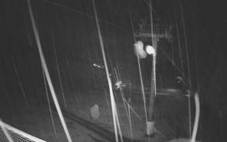 Zieleniec - Winterpol - 03-11-2025 02:55