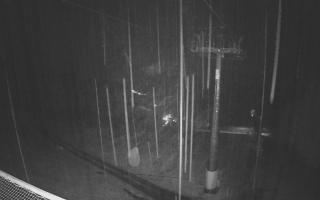 Zieleniec - Winterpol - 03-11-2025 03:02