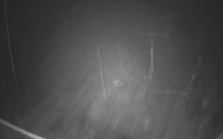 Zieleniec - Winterpol - 03-11-2025 03:09