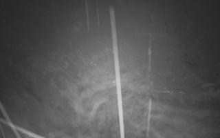 Zieleniec - Winterpol - 03-11-2025 03:16