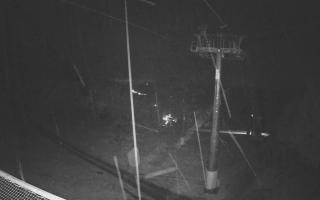 Zieleniec - Winterpol - 03-11-2025 03:31