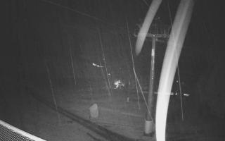 Zieleniec - Winterpol - 03-11-2025 03:45