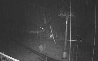 Zieleniec - Winterpol - 03-11-2025 03:52