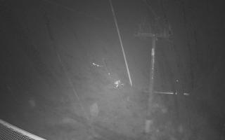 Zieleniec - Winterpol - 03-11-2025 03:59