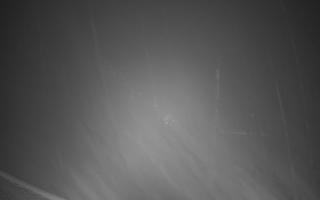 Zieleniec - Winterpol - 03-11-2025 04:06