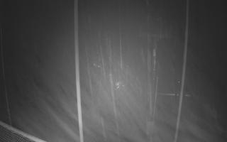 Zieleniec - Winterpol - 03-11-2025 04:27