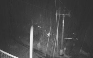 Zieleniec - Winterpol - 03-11-2025 04:34