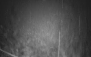 Zieleniec - Winterpol - 03-11-2025 04:41