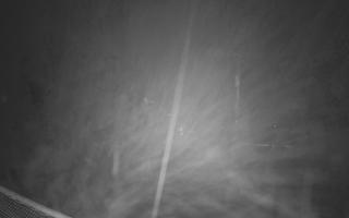 Zieleniec - Winterpol - 03-11-2025 04:48