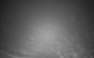 Zieleniec - Winterpol - 03-11-2025 04:55